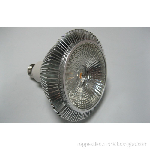 LED Spotlight (TP-S11-012W01)